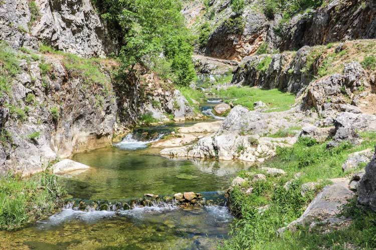 dag-banjica-hotel-happy-dimitrovgrad-va-vodi